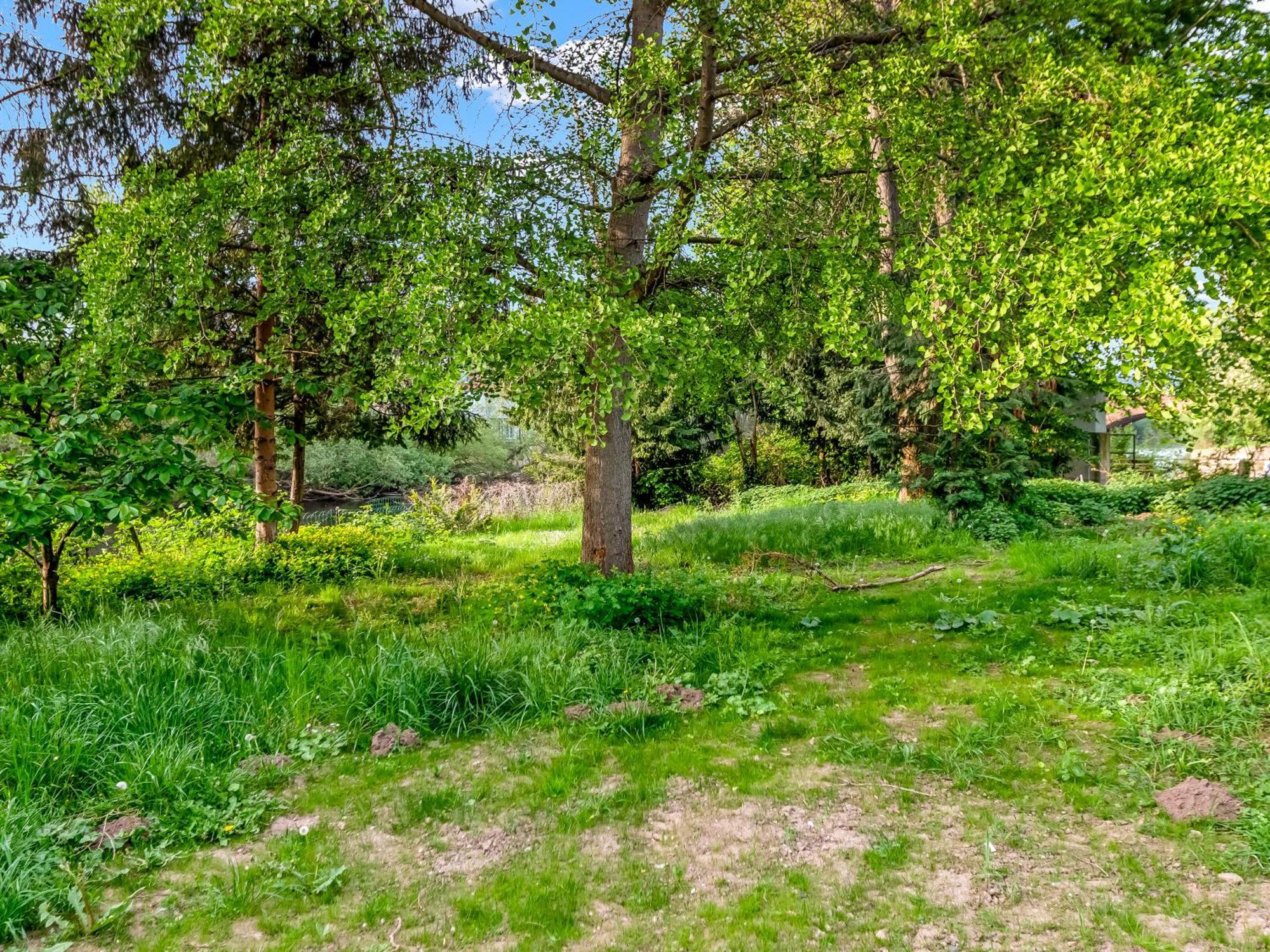 Altstadt Apartment Am Wasser Mit Parkplatz Und Riesigem Garten Bad Kreuznach Dış mekan fotoğraf